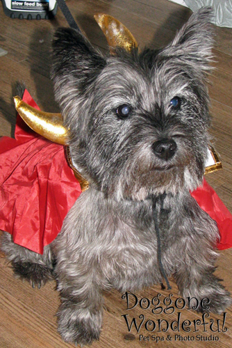 Frightfully Fun 2010: Little Devil