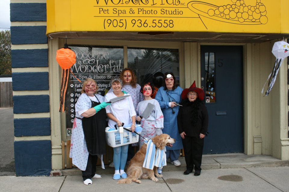 Frightfully Fun 2011: The Doggone Scary team!