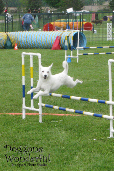 Agility: Jump