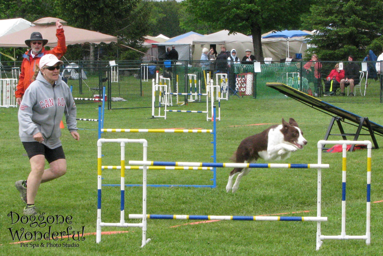 Agility: Jump